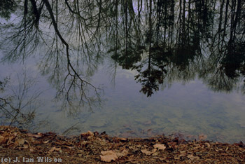 at Eno River St Park