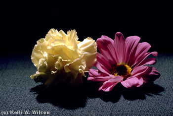 a pair of flowers