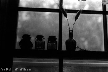 a kitchen window