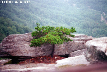 at Chimney Rock St Park