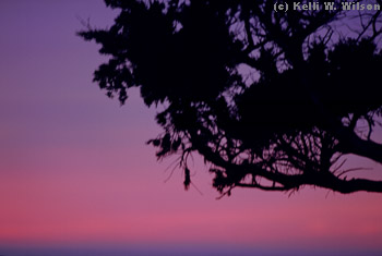 Looking over Pamlico Sound