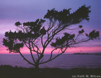 Looking over Pamlico Sound